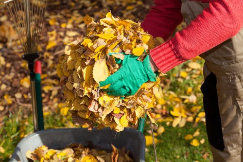 Professional garden clearance service in Central London